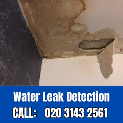 Expert Water Leak Detection Services in Earlsfield | Earlsfield Leak Detection